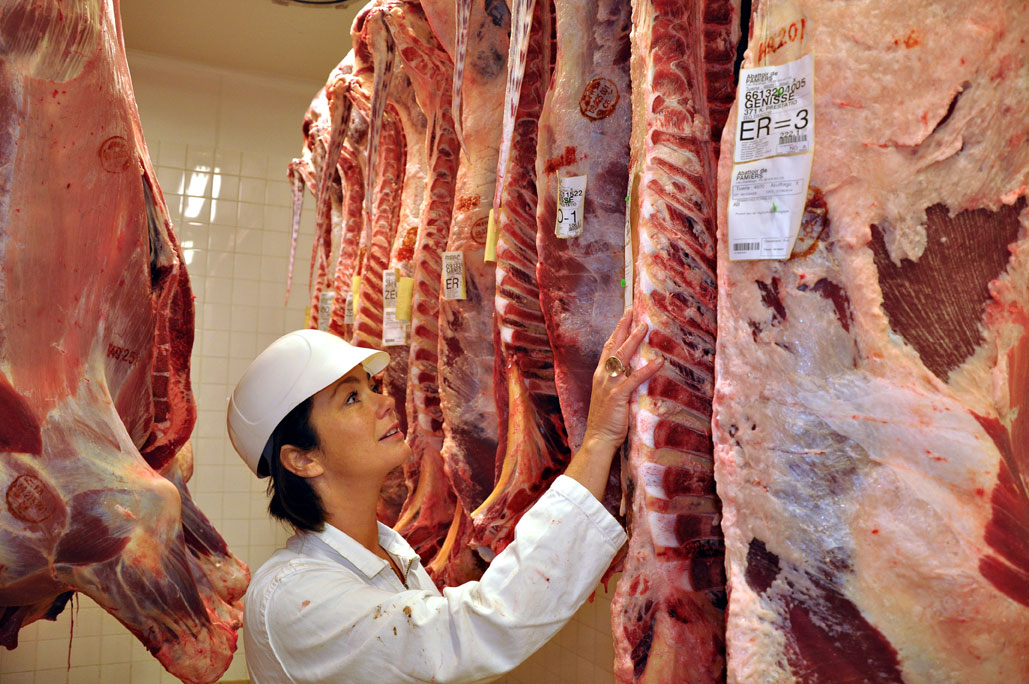 Corinne AMBLARD Chargée de mission filières viande et lait